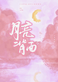 月亮背面和正面的岩石