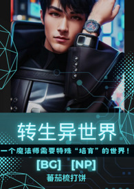 转生异界轻小说