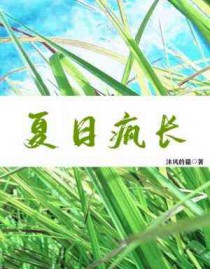 夏日疯狂刘德华