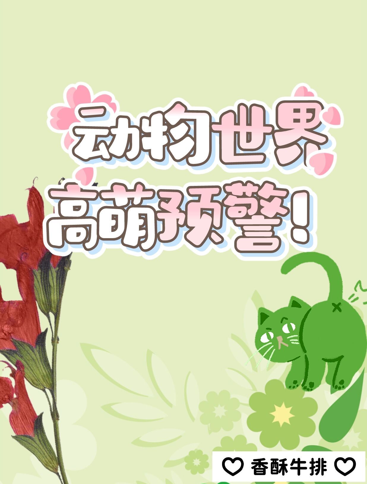 动物世界万人迷图鉴(快穿)百度网盘