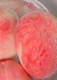 柏涛菲诺和马克十八哪个好