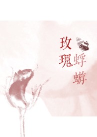 玫瑰蜉蝣小说