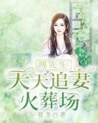 傅先生今天追妻火葬场了吗