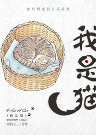 我是猫教案反思