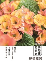 恶质资产