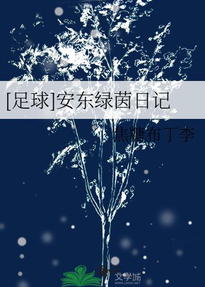 足球看球日记